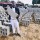 Entrepreneur urges Benue Gov't to patronise local companies