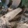 Over 20 injured as explosion rocks Kano mosque, suspect arrested 