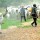FG, firm mull technological innovation to stop cattle rustling, farmer/herder clashes