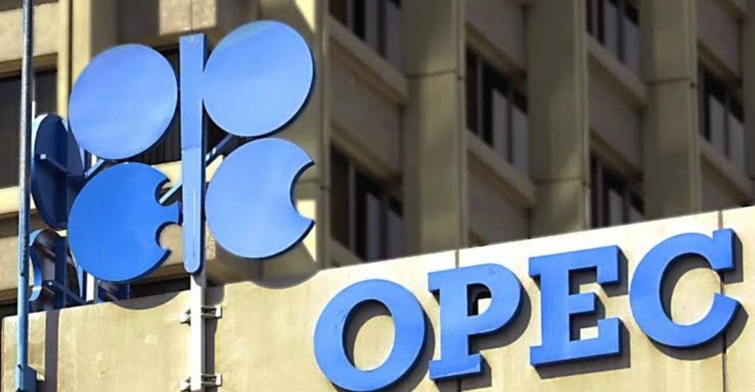 Gas vital in current, future energy demand, says OPEC-GECF dialogue