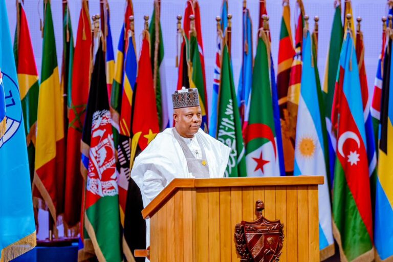 Shettima seeks international cooperation to combat global challenges