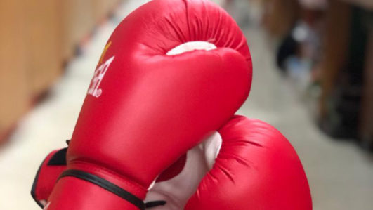 Nigerian Boxing referees/judges association reject Minimah's move to withdraw Nigeria from IBA